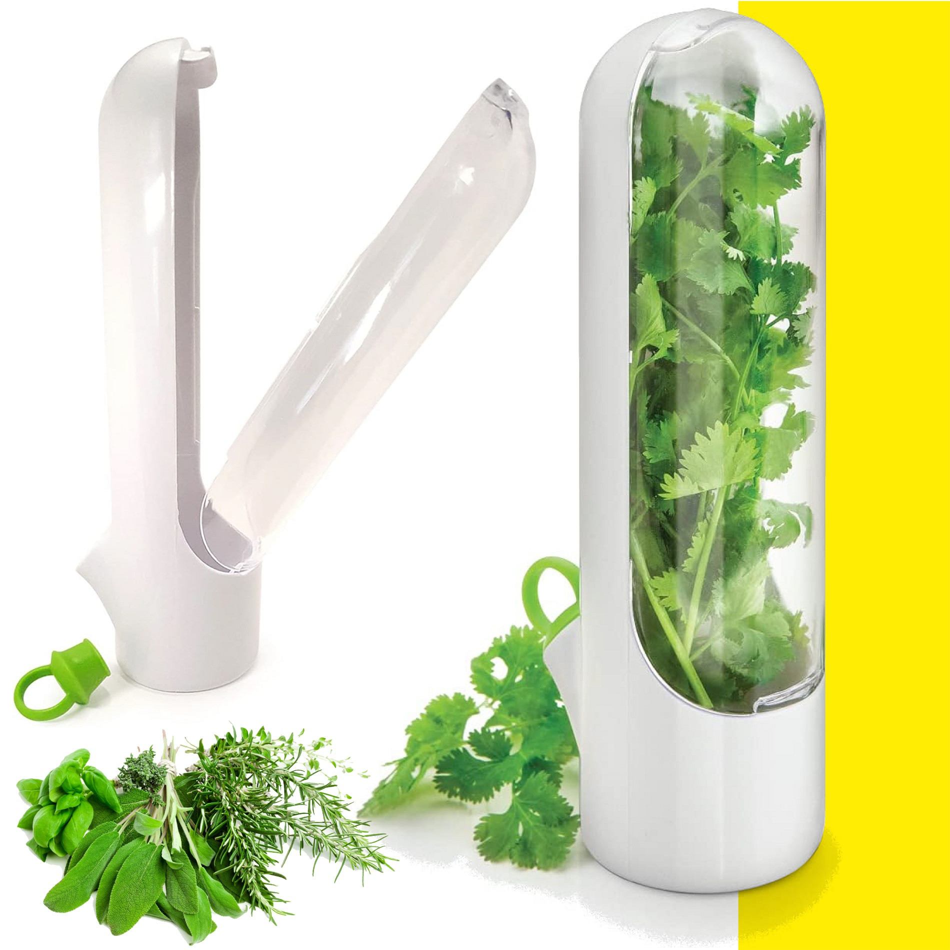 Miniatura 7 de Capsula Contenedor Conservador Hierbas